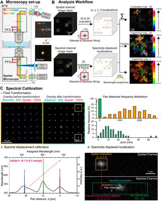 Frontiers | Multi-Dimensional Spectral Single Molecule Localization ...